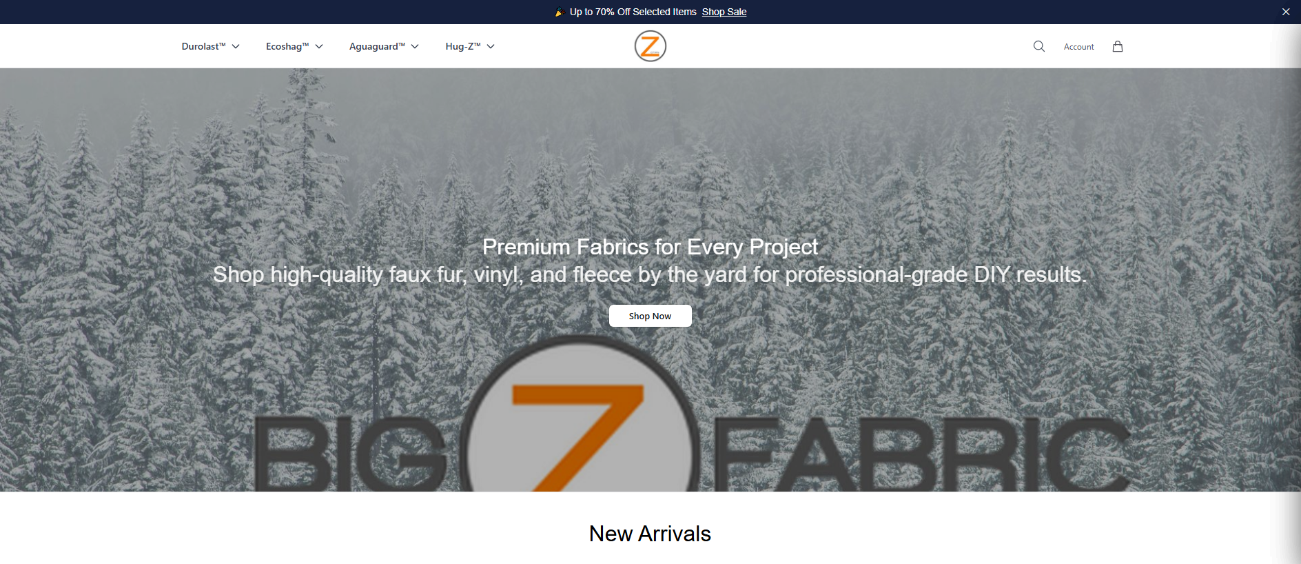 Primary capture · bigzfabric.shop
