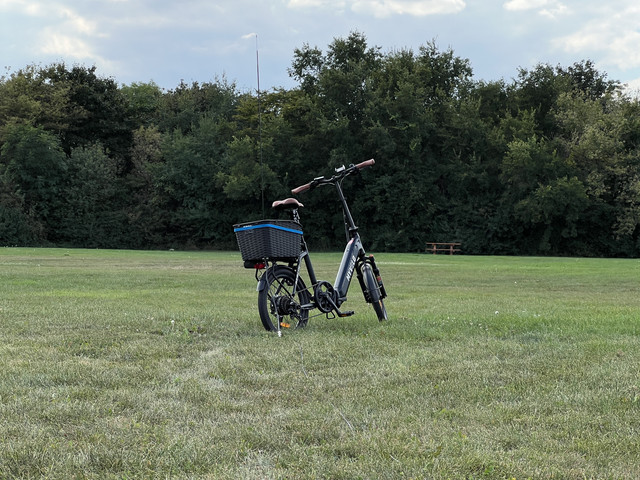 IMG-0530.jpg