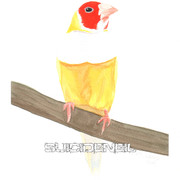 Painting13