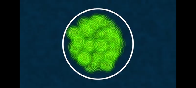 https://i.ibb.co/CpKqTmFK/Screenshot-20260822-191908.png