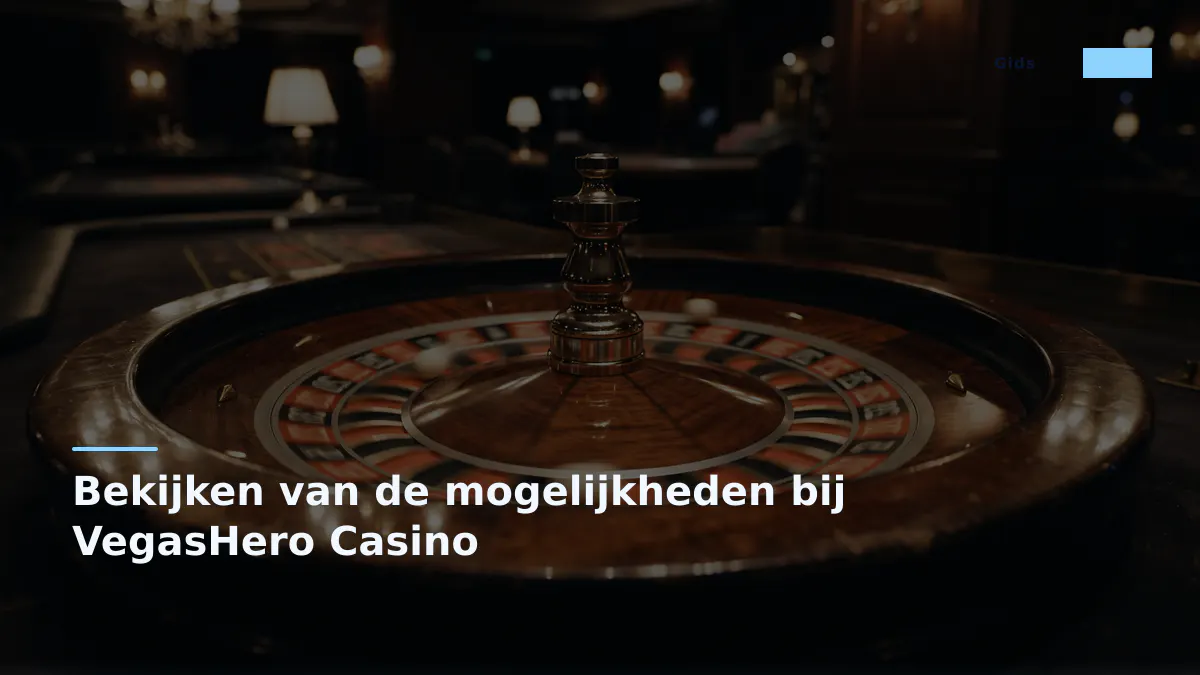 Bekijken van de mogelijkheden bij VegasHero Casino