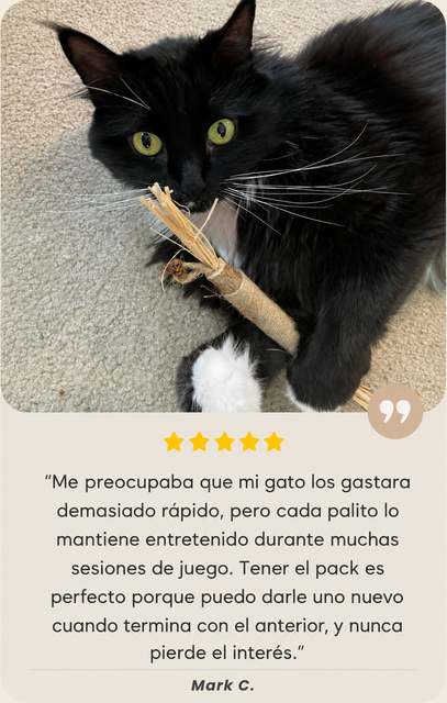 Gato usando stick de Silvervine - Mark C.