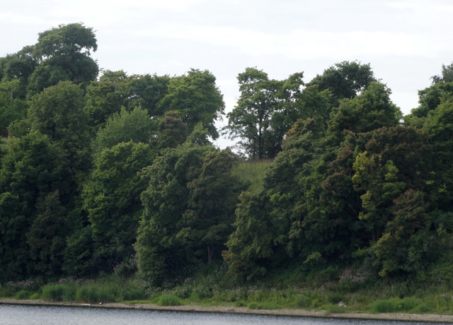 DSC06422-5.jpg