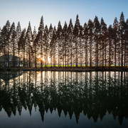 L1001545