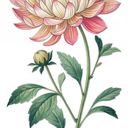 01-691