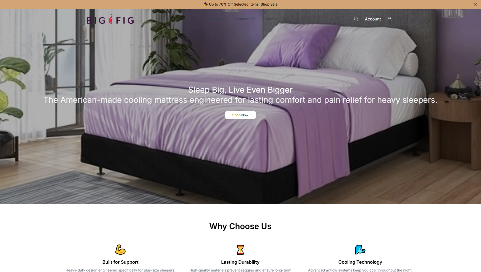Primary capture · bigfig.shop