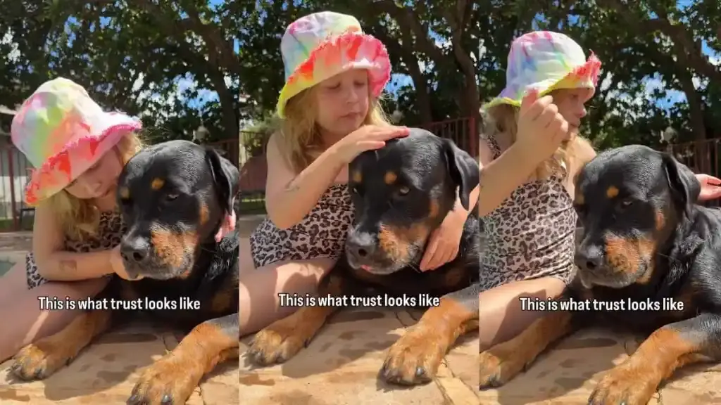 Dog and Girl Share Lifelong Bond