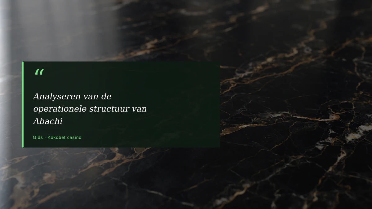 Analyseren van de operationele structuur van Abachi