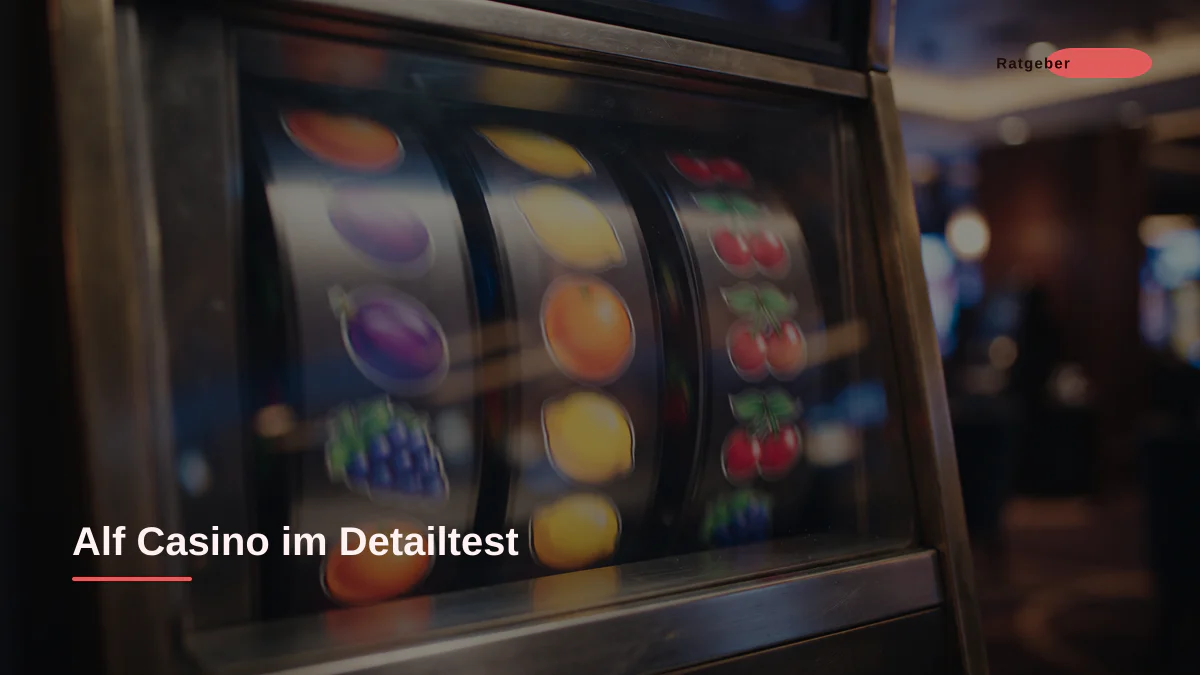 Alf Casino im Detailtest
