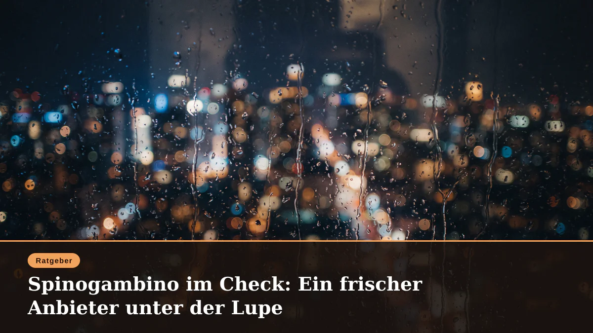 Spinogambino im Check: Ein frischer Anbieter unter der Lupe