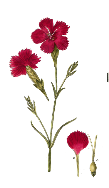 nohat-upscale-x4-89e0e66121be4e5e.png