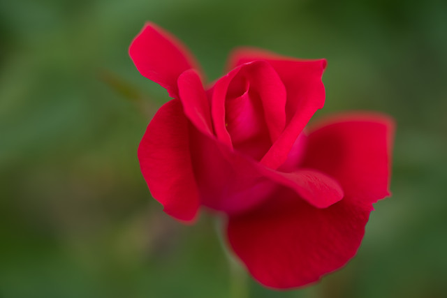 DSC03894 копия.jpg