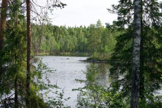 https://i.ibb.co/CpvS4BDd/53549-2.jpg