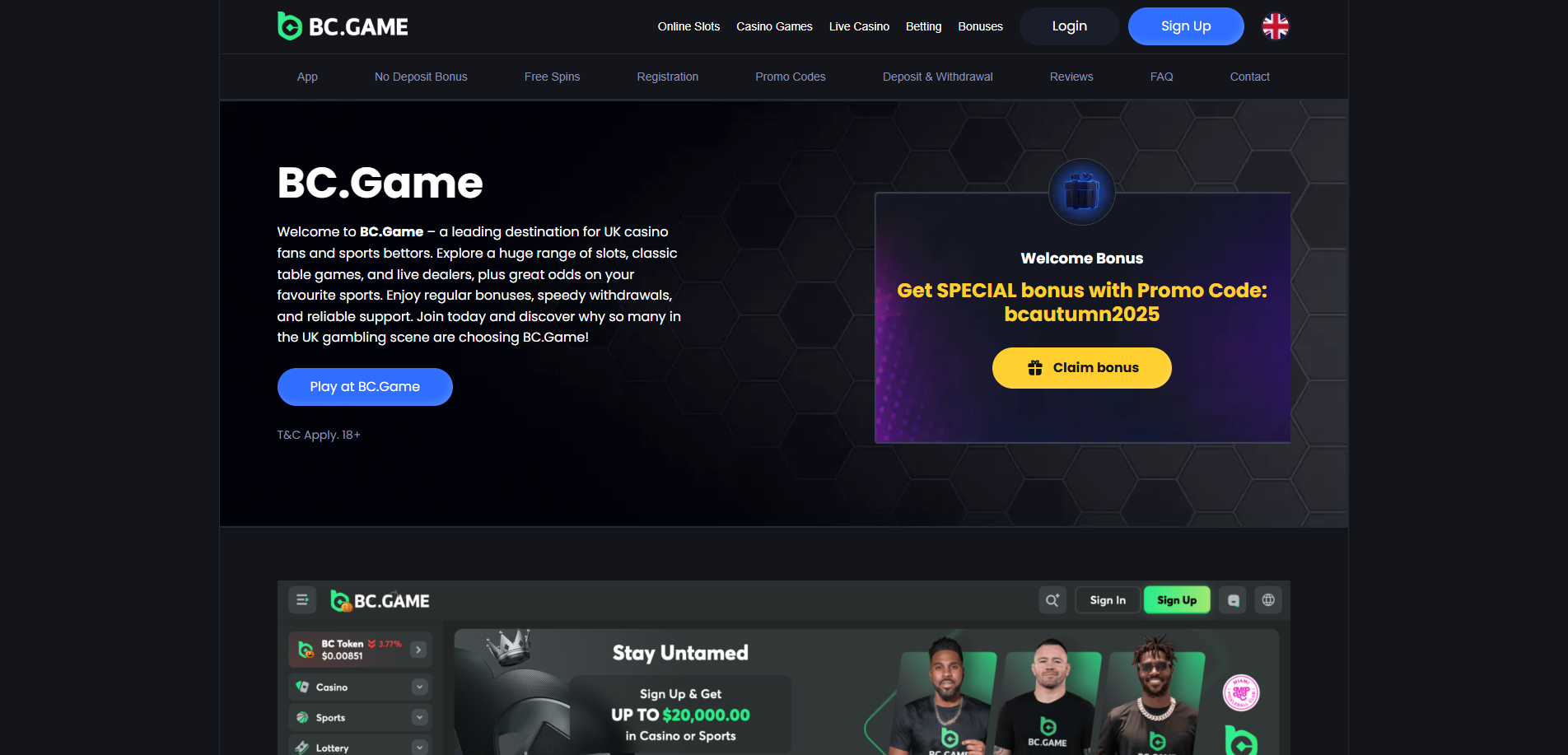 Screenshot of bcgames.co.com