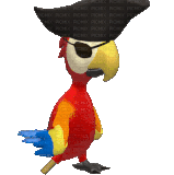 parrot pirate