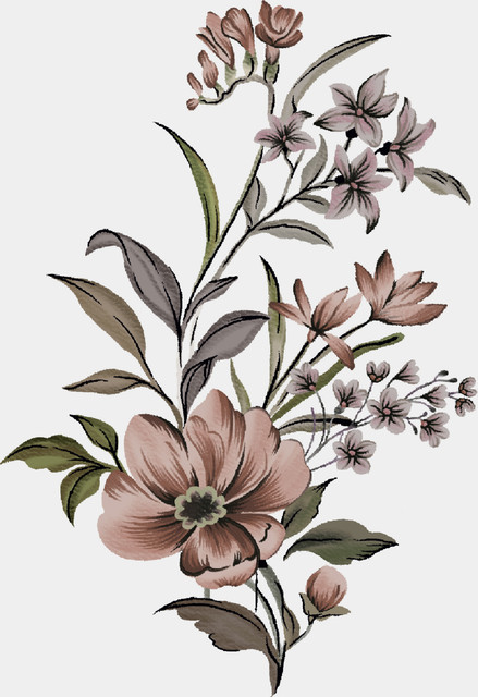 shutterstock 2243249543.jpg