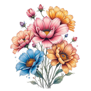 nohat-bg-removed-156b92fa