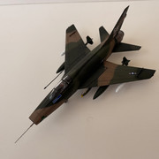 IMG-6383