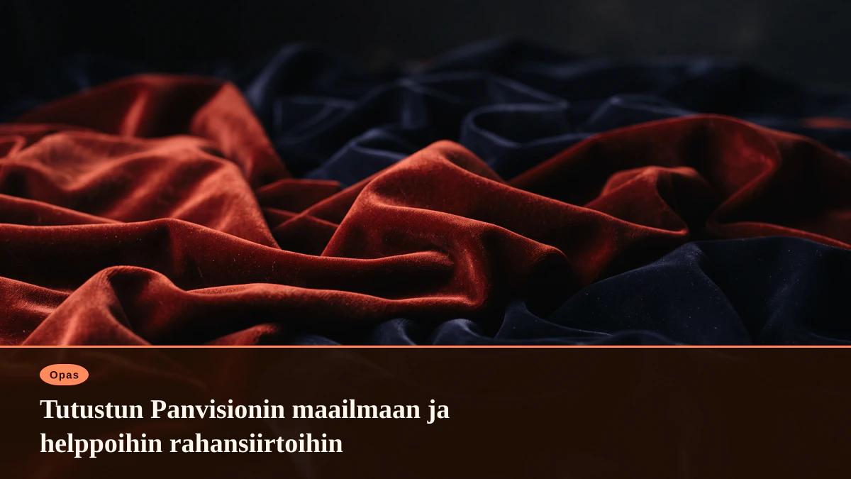 Tutustun Panvisionin maailmaan ja helppoihin rahansiirtoihin