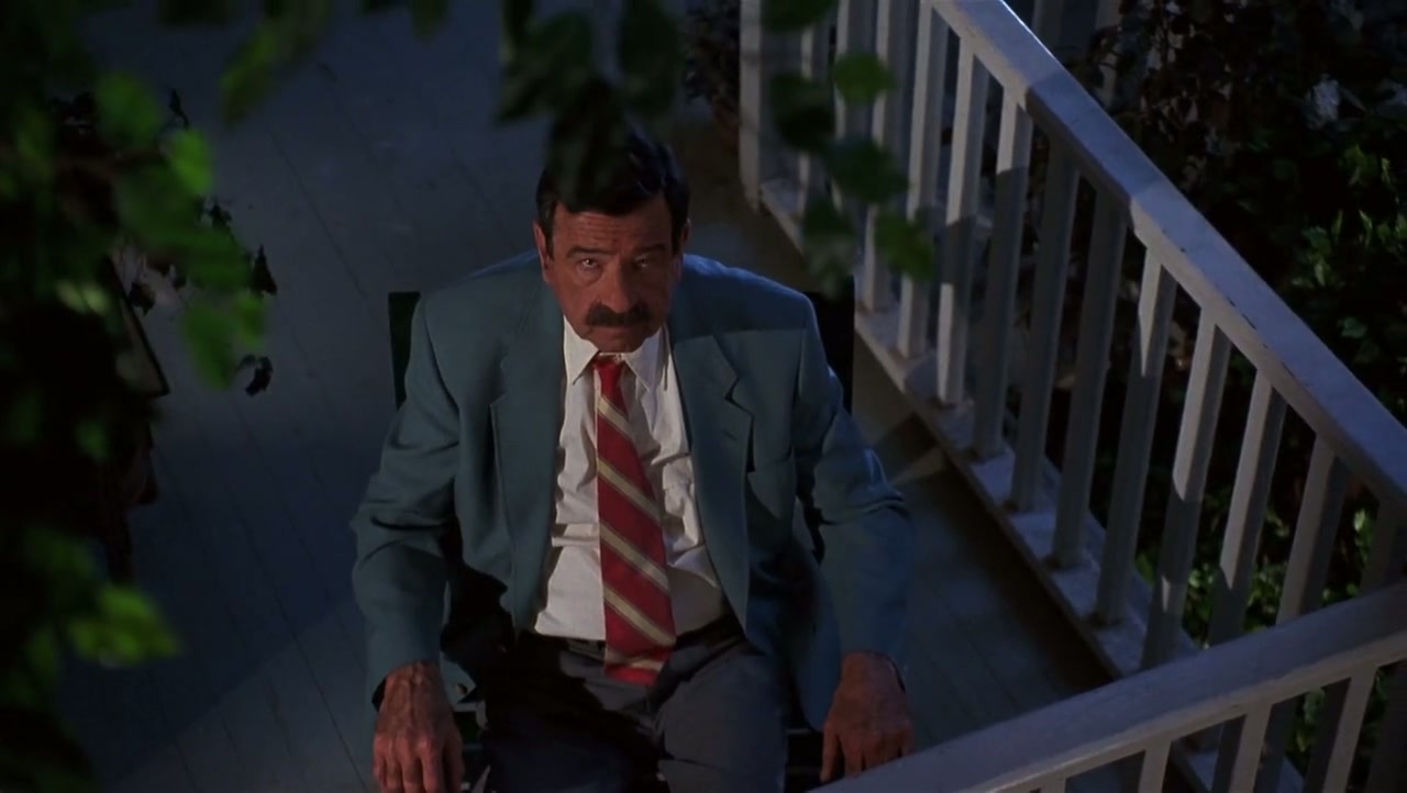 Dennis the Menace Screenshot