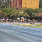 IMG-0463