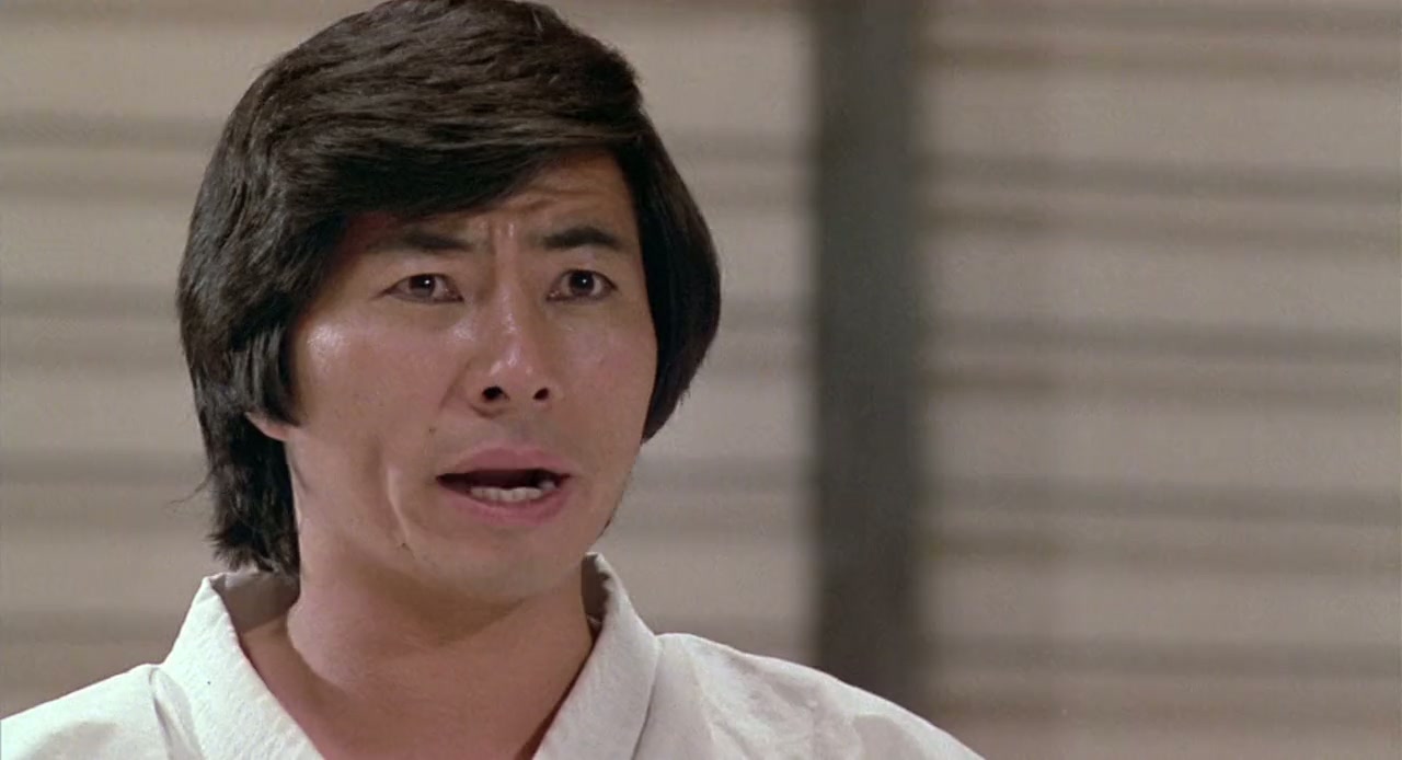 Revenge of the Ninja Screenshot