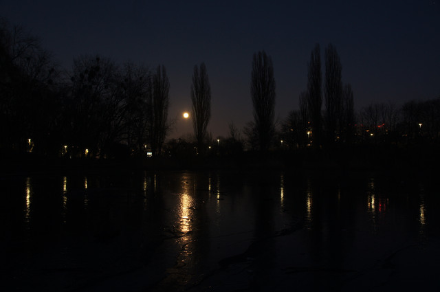 DSC06559