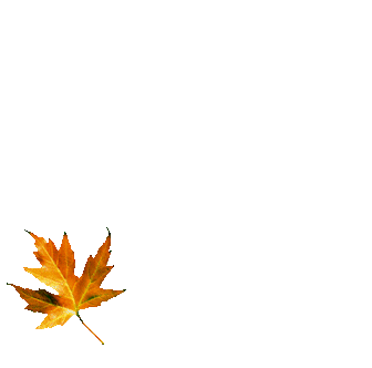 37bcc312