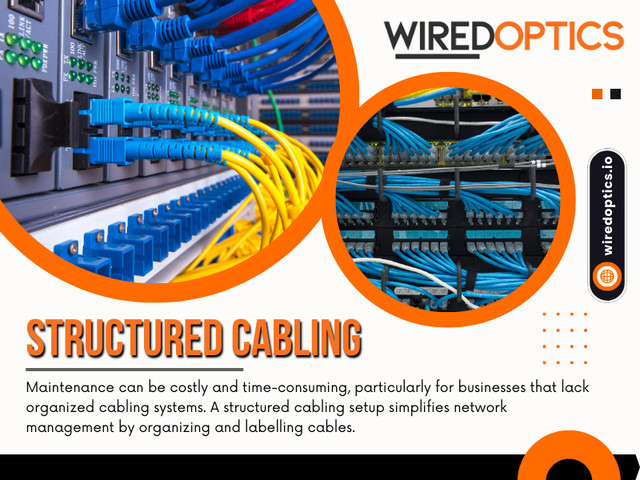 One of the primary advantages of a structured cabling system is its ability to support scalability and future expansion.

As your business grows, you may need to add new workstations, integrate VoIP (Voice over Internet Protocol) systems, or transition to cloud-based applications. A structured cabling system allows you to scale up seamlessly without disrupting daily operations. 

Click here for more information about Structured Cabling: https://wiredoptics.io/fiber-optic-services/

Visit our Website: https://wiredoptics.io/

Wired Optics
Address: 107 Platform Wy N, Nashville, TN 37203, United States
Contact: +16152466616
Mail: info@wiredoptics.io
Find Us on Google Map: https://maps.app.goo.gl/sy9uaECL4pXR86Lw6

Our Profile: https://wiredoptics.imgbb.com/

See More:

https://v.gd/WBSJCa
https://v.gd/LTqCIz
https://v.gd/nVyrRd
https://v.gd/yk8JMX