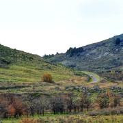 DSCN4950