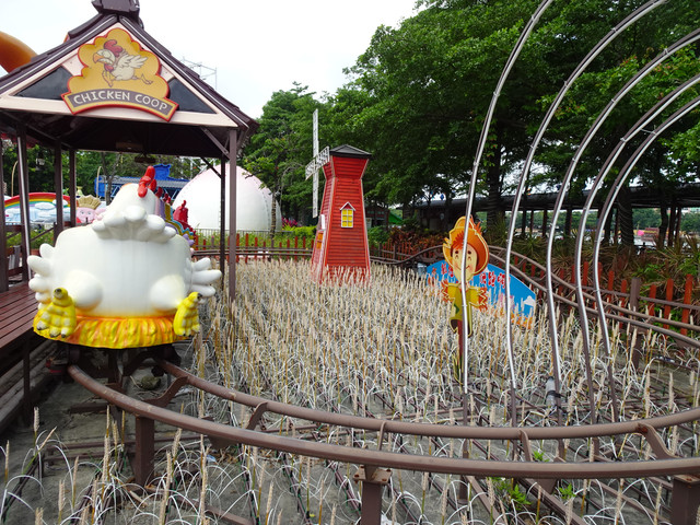 DSC00355.jpg