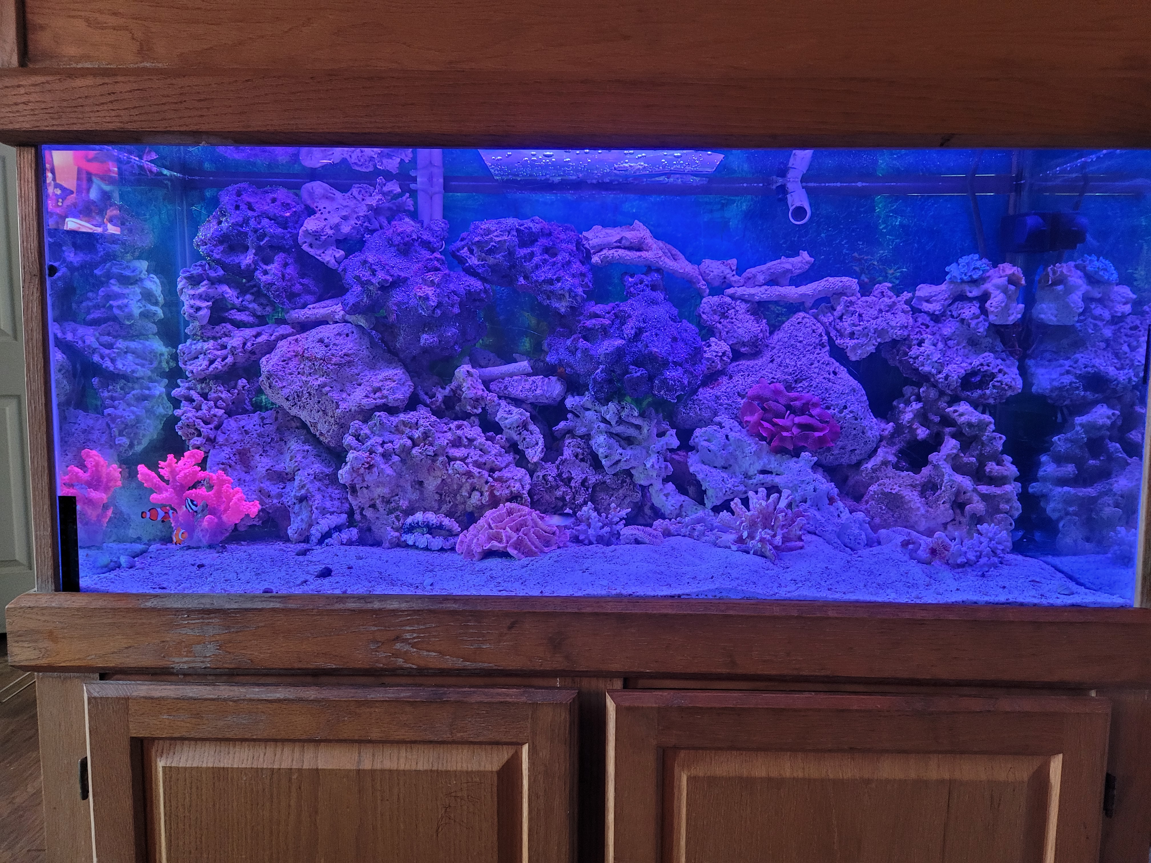 20201207-154829.jpg