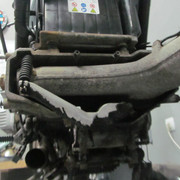 IMG 0355