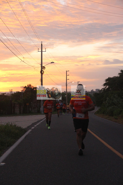 IMG-0238.jpg
