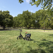 IMG 7981