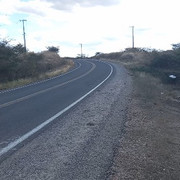 1004168895
