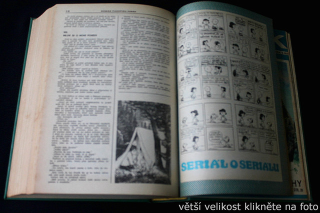 IMG-2447.jpg