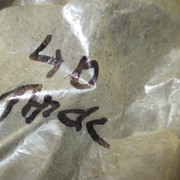 IMG-1931