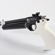 PP700-W-02