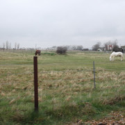 DSCF0127