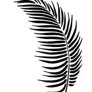b130ea418dfe97c03efb617df6273002