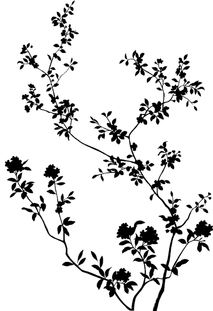55e95e90a135f3203d7d327eedd0a6ff.png