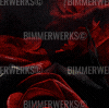 Smitten Kitten Forum Sample.gif