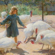 White-Turkeys