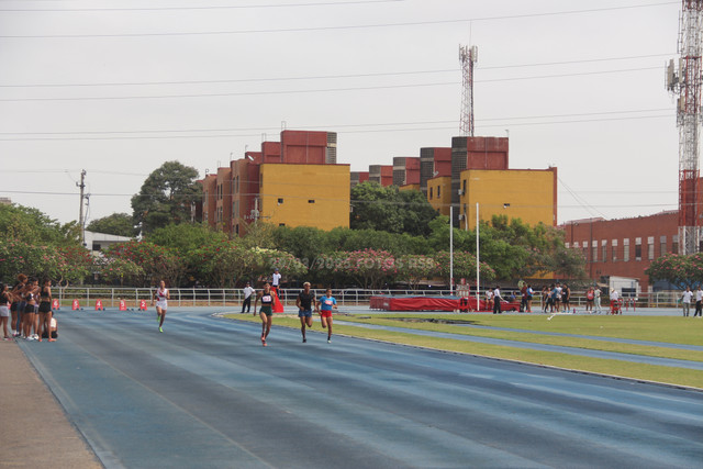 IMG-0046.jpg