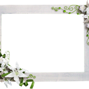 cluster-frame-281