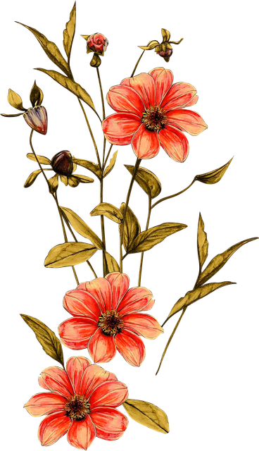d355eb67d0b5545008f50b6fdffada42