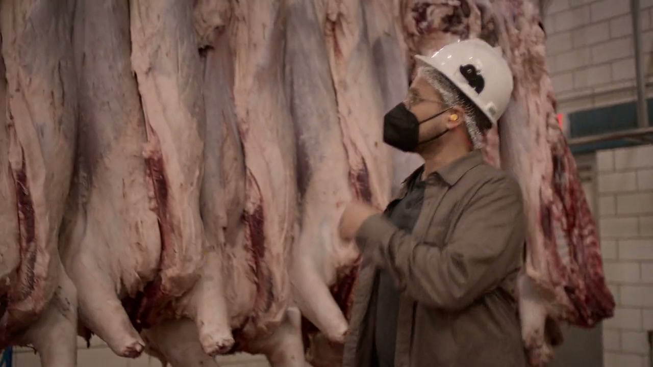 The G Word with Adam Conover Screenshot