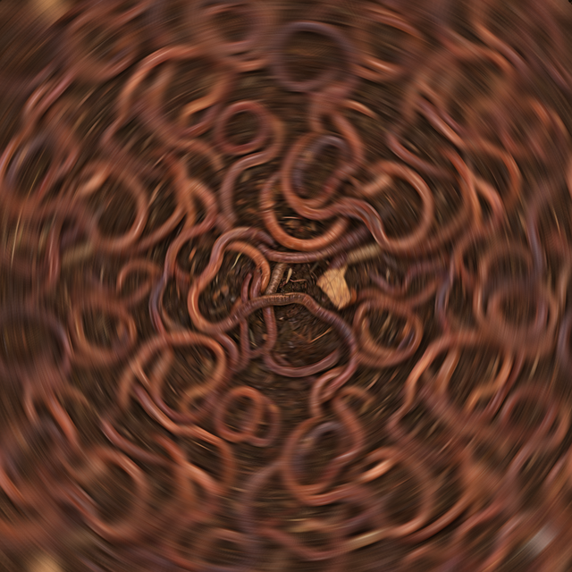 Untitled477 20260221220223.png
