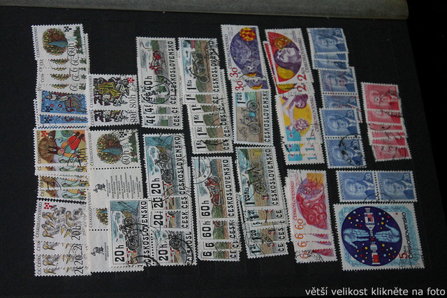 IMG-6888.jpg